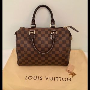 Louis Vuitton Speedy 25 Damier
